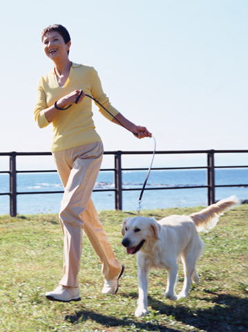犬と散歩する女性の画像