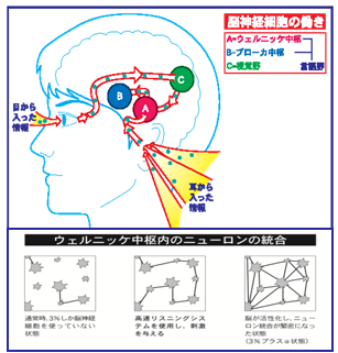 高速リスニングの効果